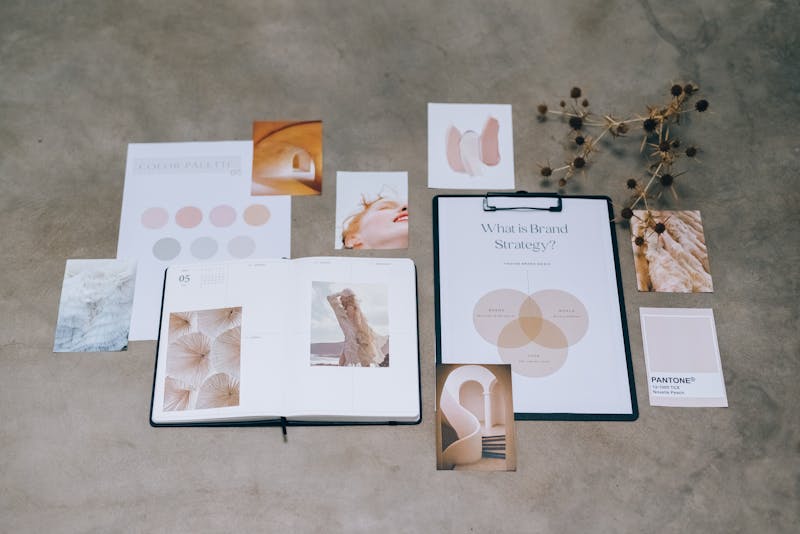 Flat lay of branding elements with color palettes